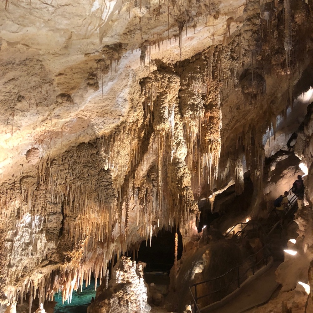 Meet your Posher, Talia